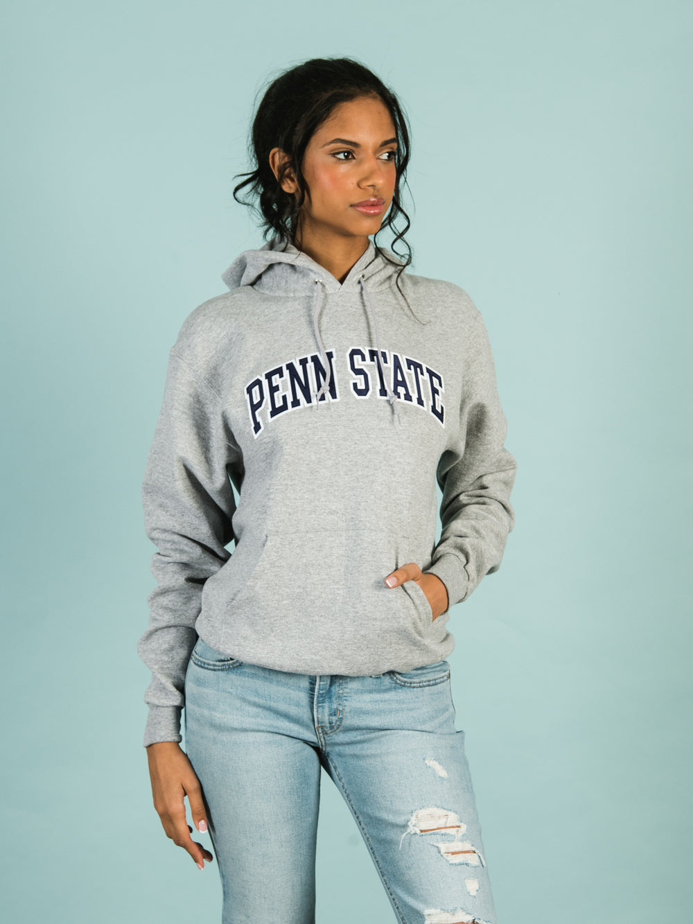 CHAMPION PENN STATE PULLOVER HOODIE