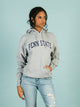 CHAMPION CHAMPION PENN STATE PULLOVER HOODIE - Boathouse