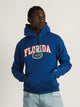 CHAMPION CHAMPION UNIVERSITY OF FLORIDA PULLOVER HOODIE - CLEARANCE - Boathouse