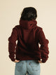 CHAMPION CHAMPION HARVARD ALL OVER PRINT PULLOVER HOODIE - Boathouse