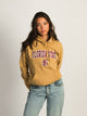 RUSSELL ATHLETIC RUSSELL FLORIDA STATE PULLOVER HOODIE - Boathouse