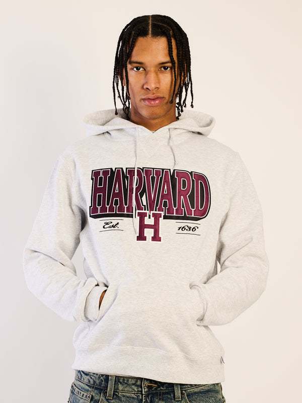 HARVARD PULLOVER HOODIE