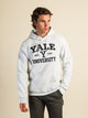 RUSSELL ATHLETIC RUSSELL YALE PULLOVER HOODIE - Boathouse