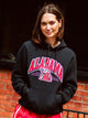VARSITY ALABAMA PULLOVER HOODIE - Boathouse
