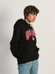 RUSSELL ATHLETIC RUSSELL RUS GEORGIA PULLOVER HOODIE - Boathouse