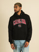 RUSSELL ATHLETIC RUSSELL SOUTH CAROLINA PULLOVER HOODIE - Boathouse