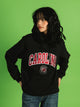 RUSSELL ATHLETIC RUSSELL SOUTH CAROLINA PULLOVER HOODIE - Boathouse