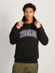 RUSSELL ATHLETIC RUSSELL WASHINGTON STATE PULLOVER HOODIE - Boathouse