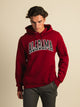 RUSSELL ATHLETIC RUSSELL ALABAMA SLEEVE EMBROIDERED HOODIE - Boathouse