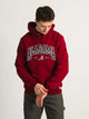 RUSSELL ATHLETIC RUSSELL ALABAMA PULLOVER HOODIE - Boathouse