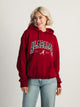 RUSSELL ATHLETIC RUSSELL ALABAMA PULLOVER HOODIE - Boathouse