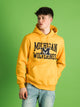 RUSSELL ATHLETIC RUSSELL MICHIGAN PULLOVER HOODIE - Boathouse