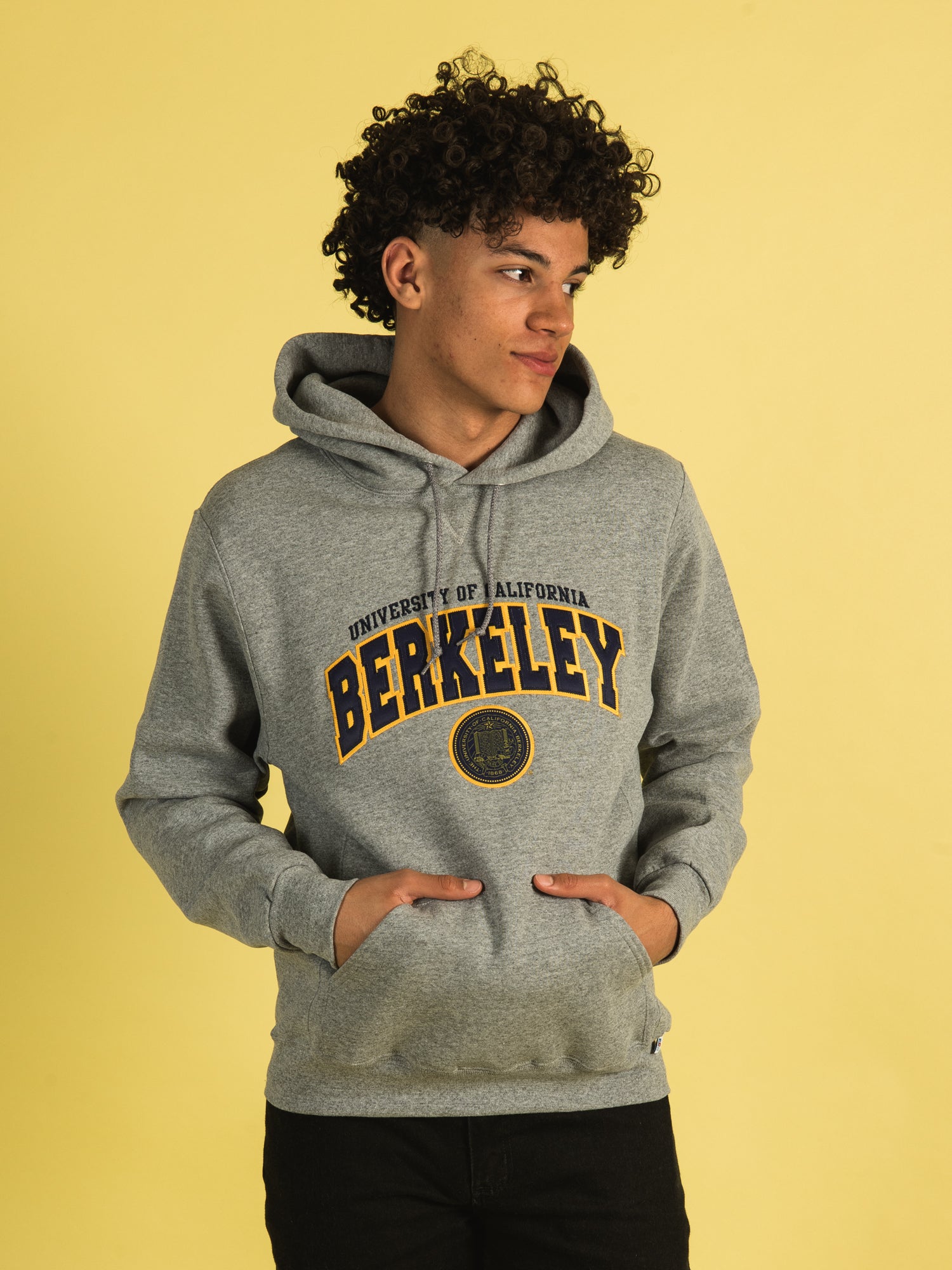 RUSSELL ATHLETIC Russell Berkeley Pullover Hoodie Grey S