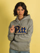 RUSSELL ATHLETIC RUSSELL PITTSBURGH PULLOVER HOODIE - Boathouse