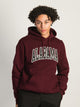 RUSSELL ATHLETIC RUSSELL ALABAMA PULLOVER HOODIE - Boathouse