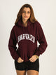 RUSSELL ATHLETIC RUSSELL HARVARD PULLOVER HOODIE - Boathouse