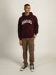 RUSSELL ATHLETIC RUSSELL HARVARD PULLOVER HOODIE - Boathouse