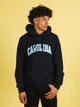 RUSSELL ATHLETIC RUSSELL CAROLINA ALL OVER PULLOVER HOODIE - Boathouse