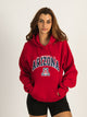RUSSELL ATHLETIC RUSSELL ARIZONA PULLOVER HOODIE - Boathouse