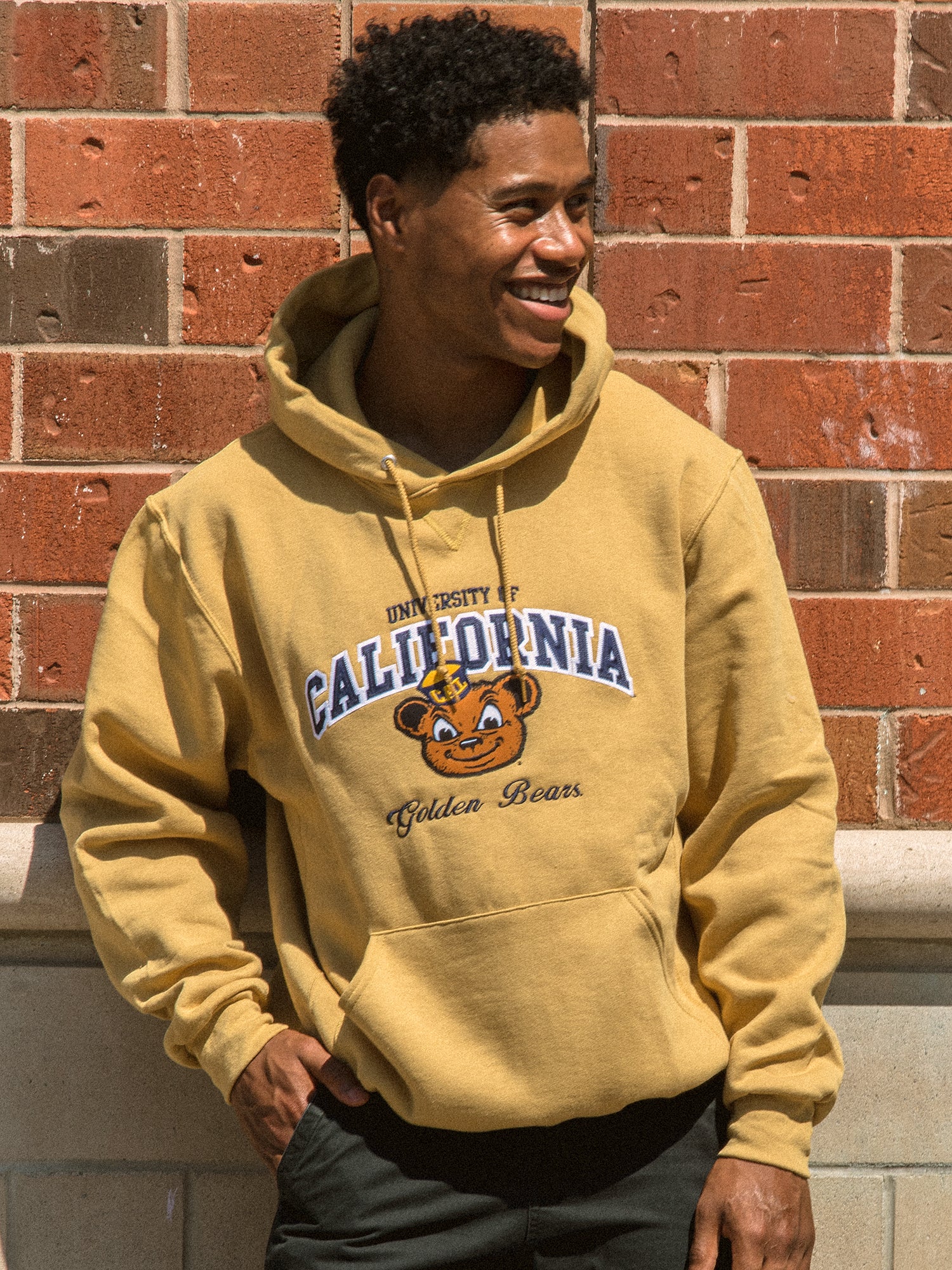 UCSB SEAL HOODIE BY RUSSELL ATHLETIC