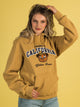 RUSSELL ATHLETIC RUSSELL BERKELEY PULLOVER HOODIE - Boathouse