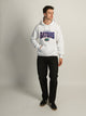 VARSITY FLORIDA GATORS PULLOVER HOODIE - Boathouse