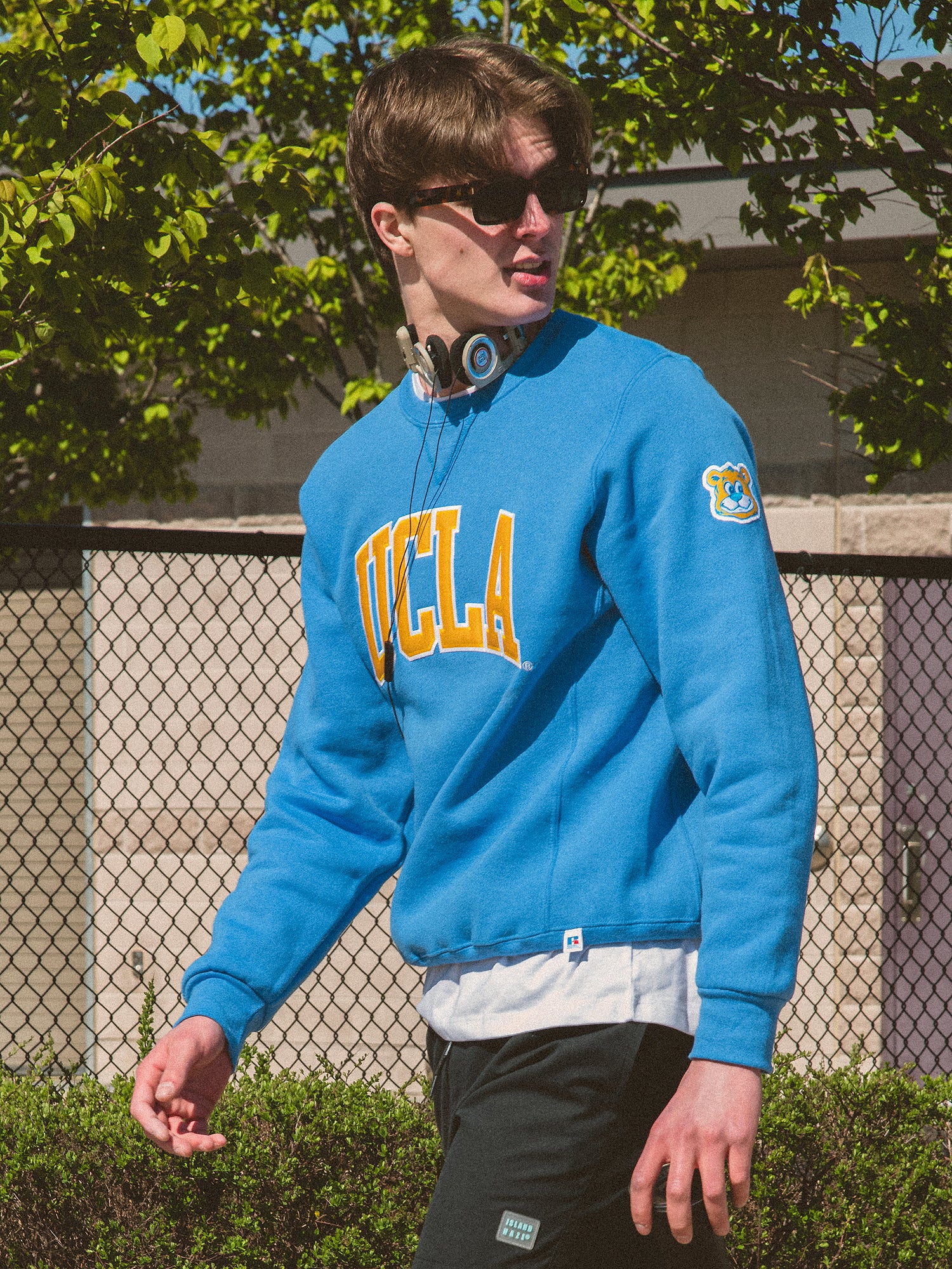 Ucla hot sale embroidered sweatshirt