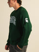 RUSSELL ATHLETIC RUSSELL MICHIGAN STATE SLEEVE EMBROIDERED CREW - Boathouse