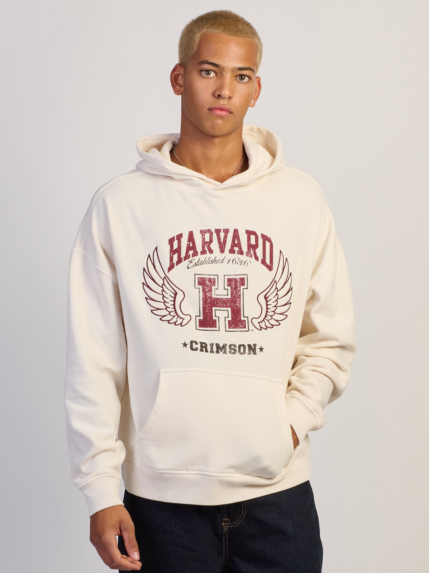 HARVARD WINGS RELAXED HOODIE