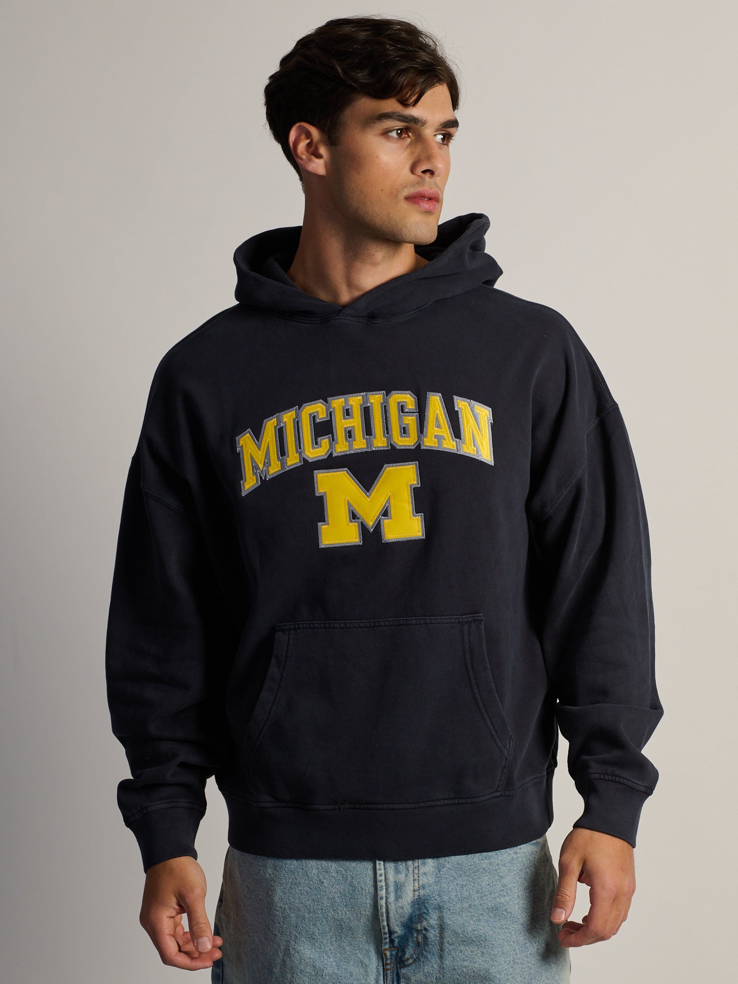MICHIGAN APLQ PULLOVER HOODIE - MARIN