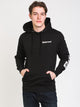 ELEMENT ELEMENT JOINT PULLOVER HOODIE - CLEARANCE - Boathouse