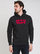 LEVIS LEVIS GRAPHIC WING PULLOVER HOODIE  - CLEARANCE - Boathouse