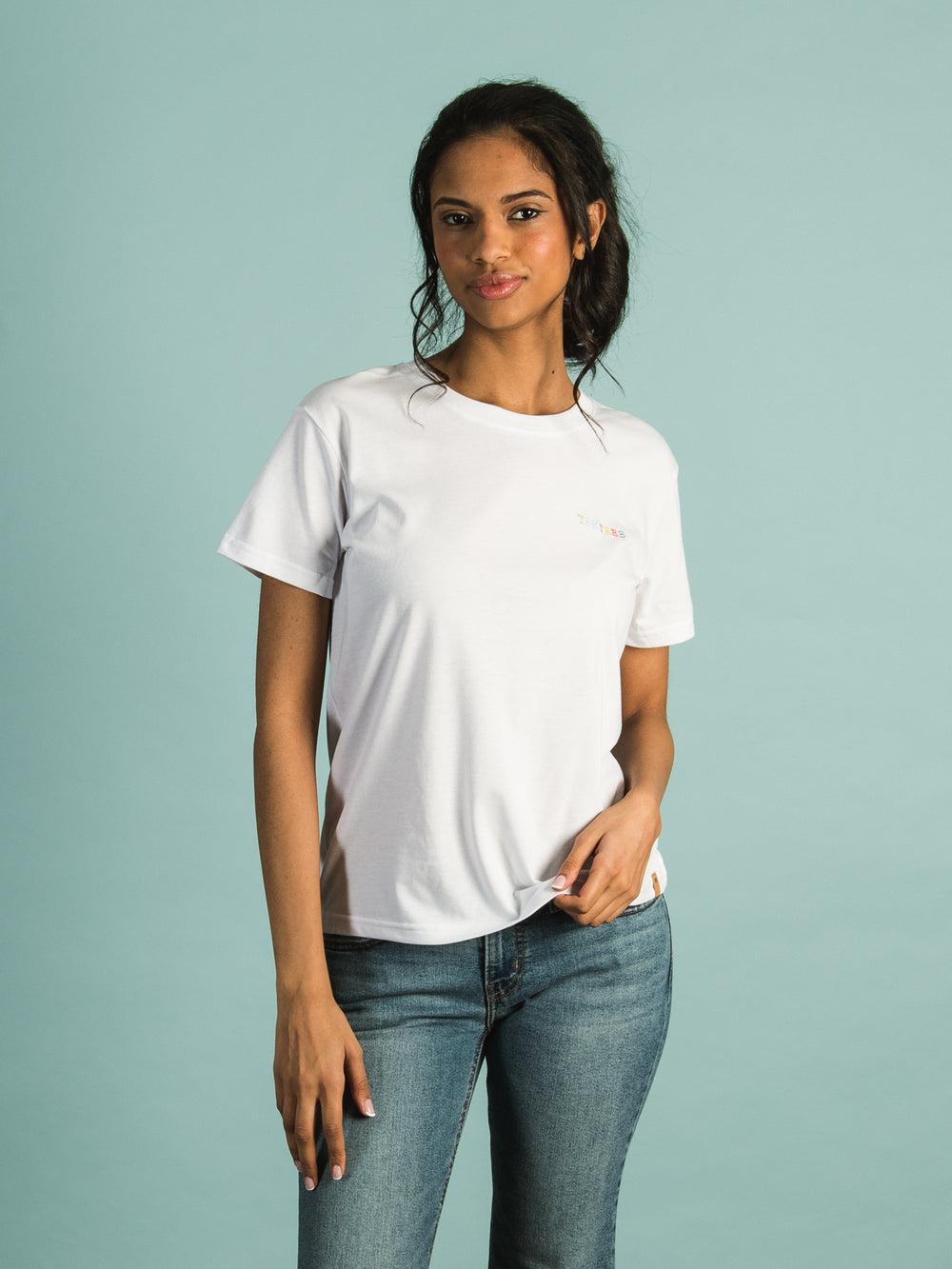 TENTREE RAINBOW EMBROIDERED T-SHIRT