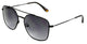 BOATHOUSE BERNARD SUNGLASSES BLACK TORT/SMOKE - Boathouse